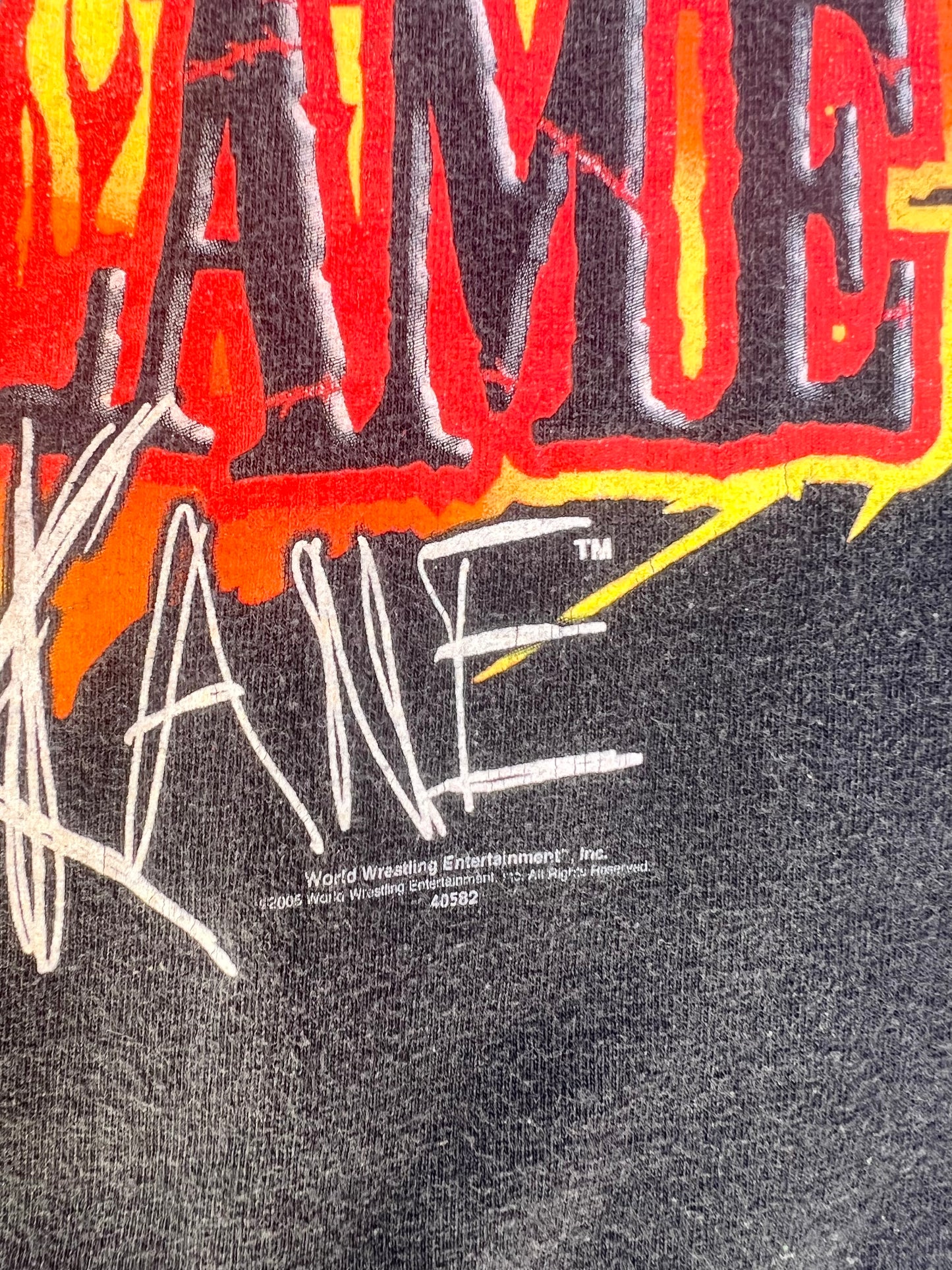 Vintage 2005 Kane Fear The Fame WWE Tee (XL)