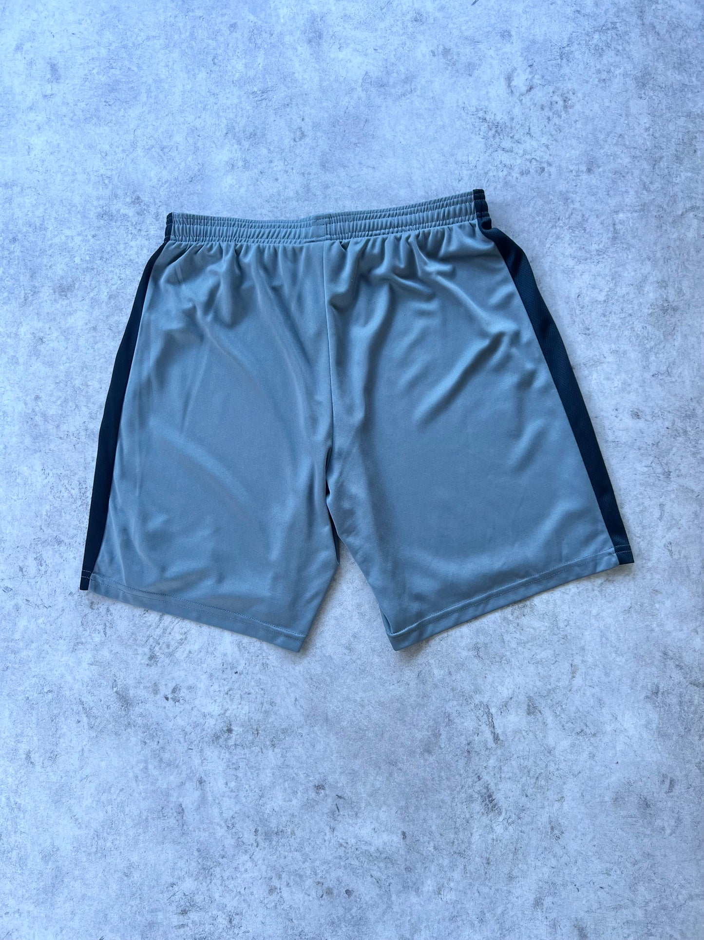 Nike Dri-Fit Sports Shorts (28”)