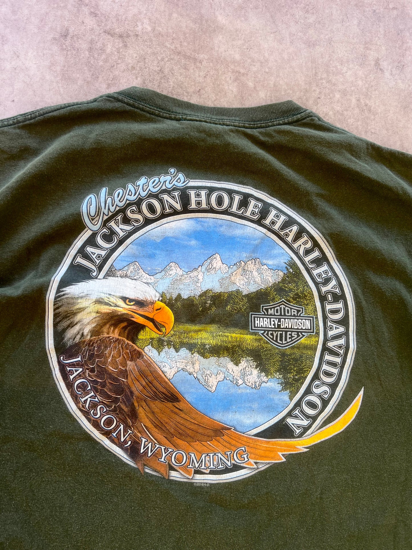 Vintage Harley Davidson Jackson,Wyoming Tee (L)